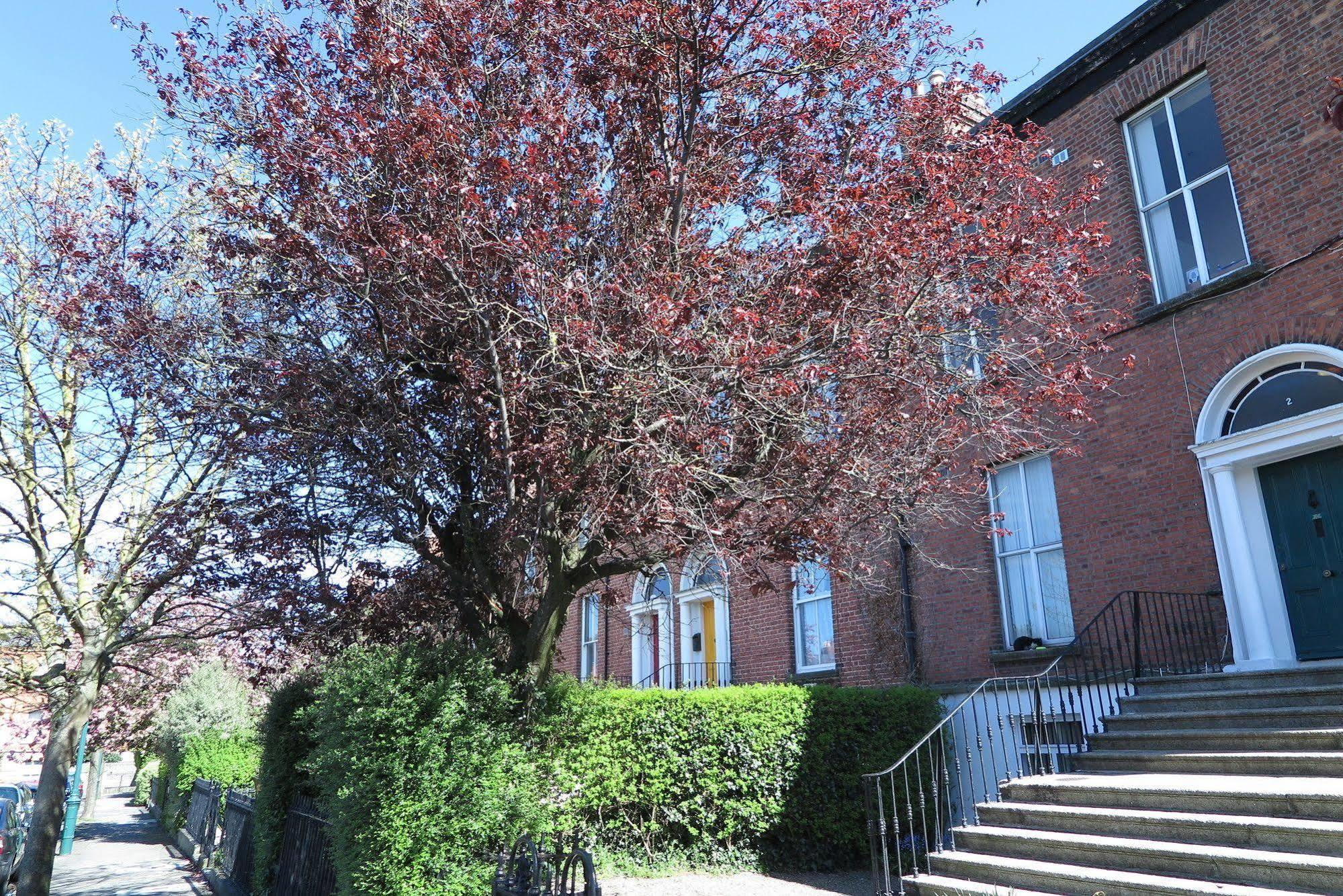 The Dublin Viking'S Place. Exterior photo